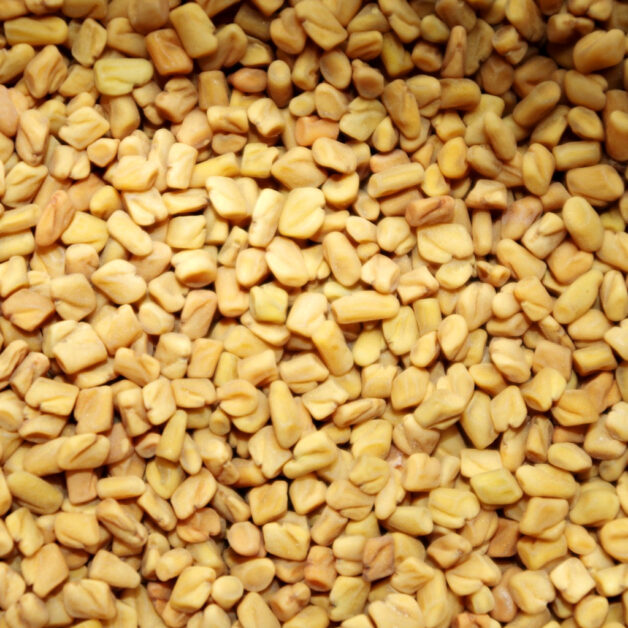Fenugreek seeds (Fenegriek, Methika, Trigonella Foenum-graecum)