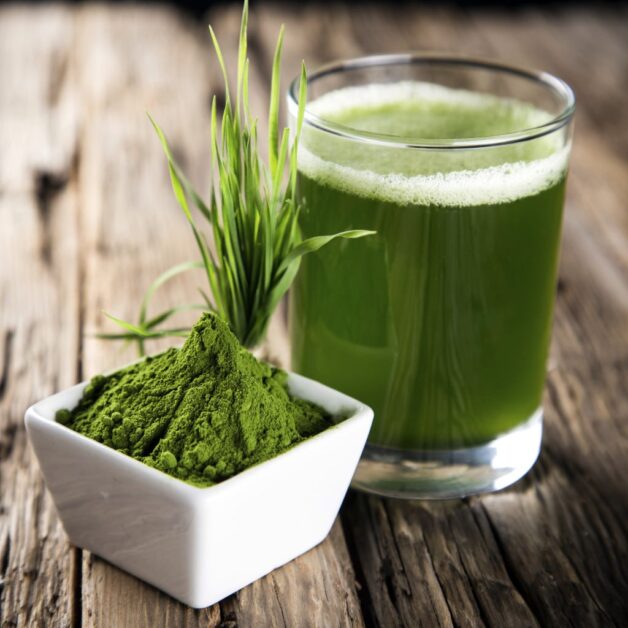Tarwegrasdrank Triticum aestivum