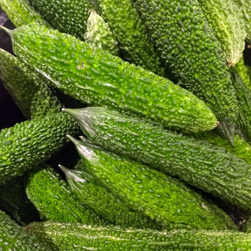 Karela (Momordica Charantia, Bittere Meloen)