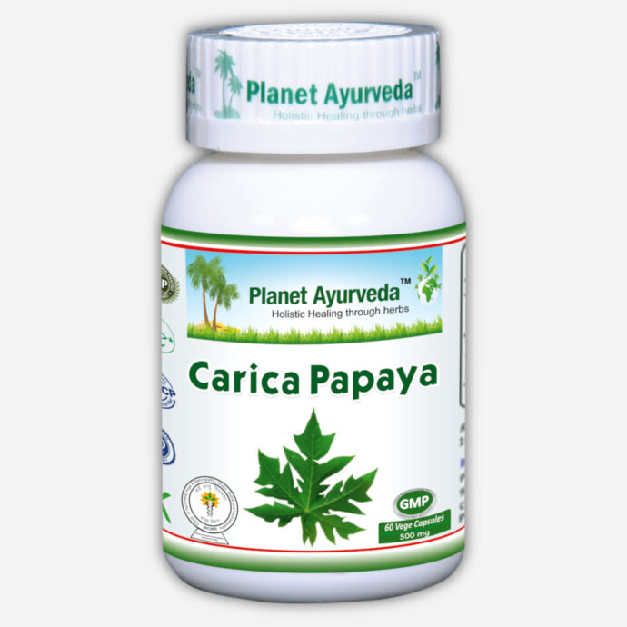 Planet Ayurveda Carica Papaya capsules voor gebruik bij bloedziekten en een laag aantal bloedplaatjes, zoals Immuun trombocytopenie (ITP) en knokkelkoorts (Dengue)